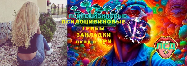 амф Касимов