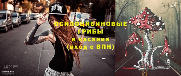 амф Касимов