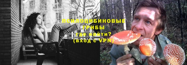 амф Касимов