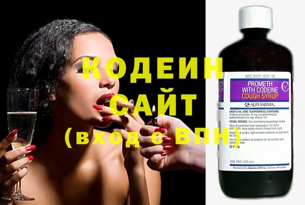 молекула духа Пестово