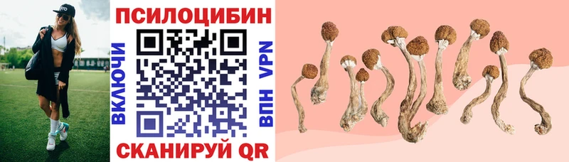 Псилоцибиновые грибы мицелий Первоуральск